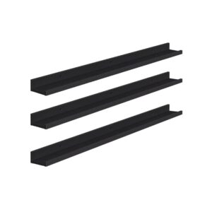 3-Pieces Black Raised Edge Hanging Shelves