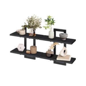 2-Pieces Black Decorative Floating Wood Shelves